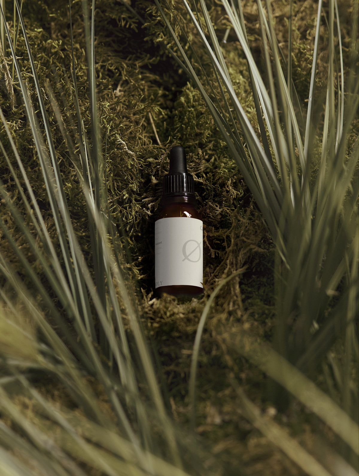 Caffeine Wake Gel
